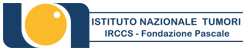 Logo of Istituto Nazionale Tumori IRCCS Fondazione G. Pascale