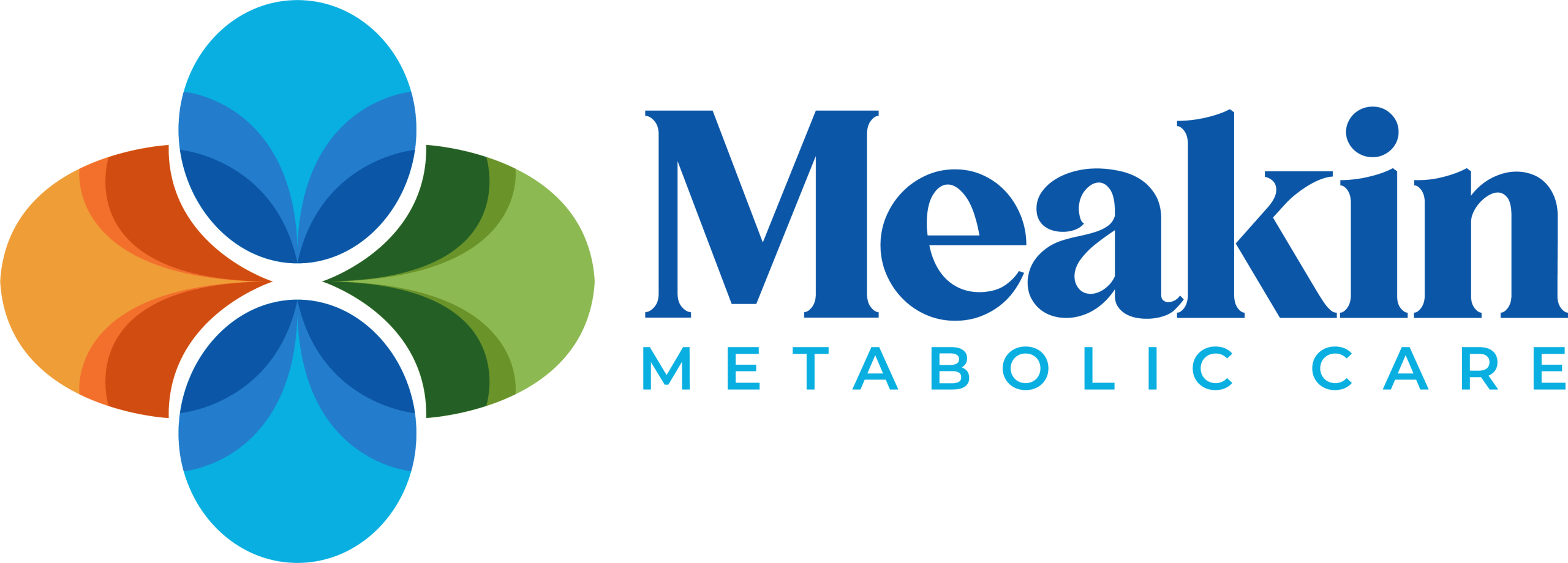 Logo of Metabolic Care